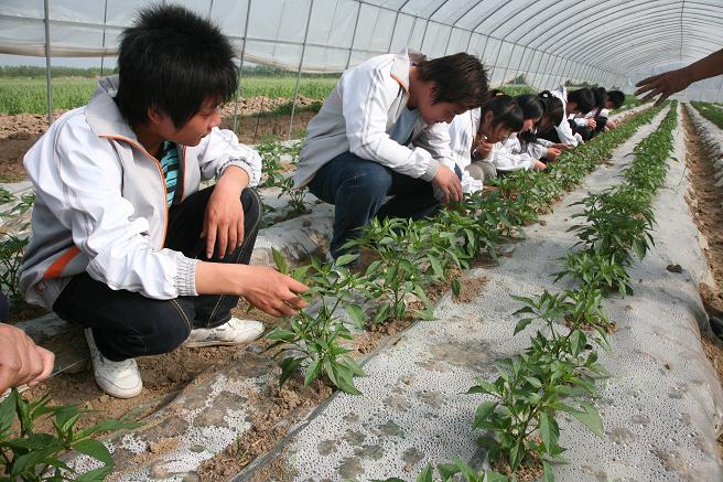 种植学生实习